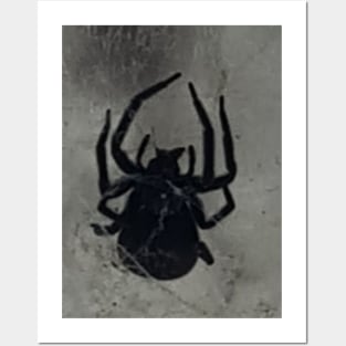 Spooky black spider Posters and Art